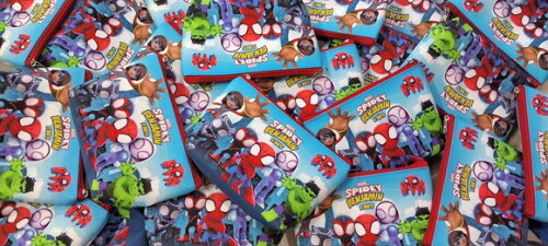 Necessaire Personalizada Spidey e Seus Amigos Espetaculares