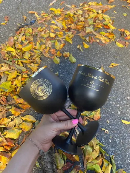 Taça Gin com Borda Metalizada Fosca