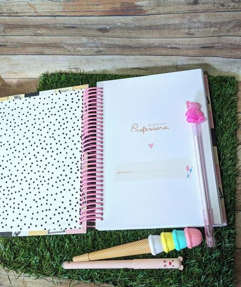 Planner Professora