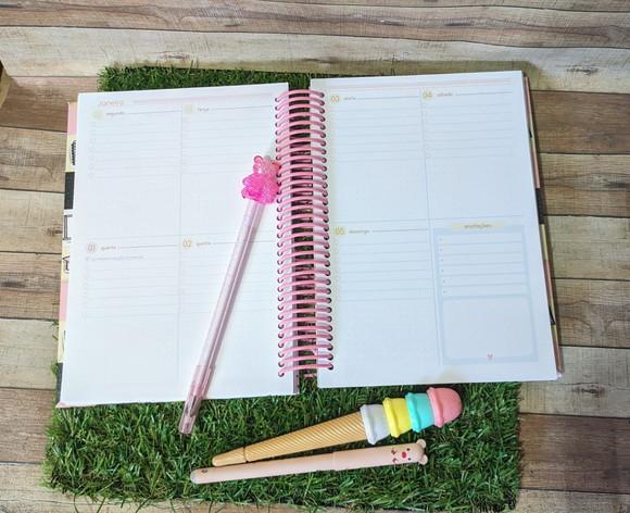 Planner Professora