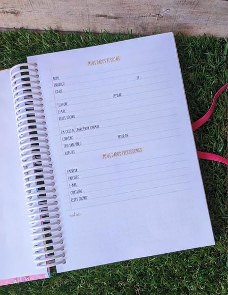 Planner Professora