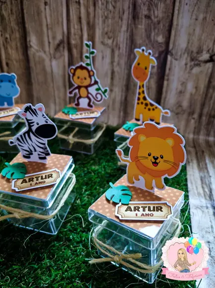 Caixinha Acrílica Safari