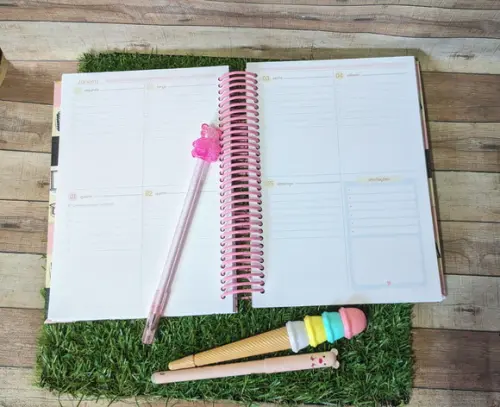 Planner Professora