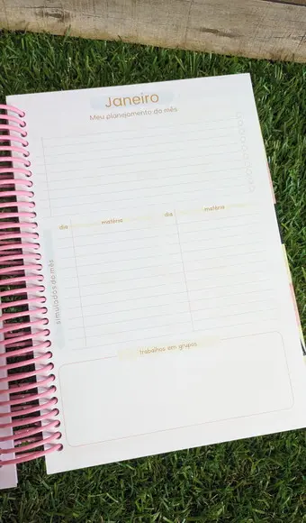 Planner Professora