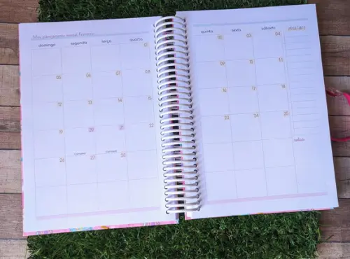 Planner Professora