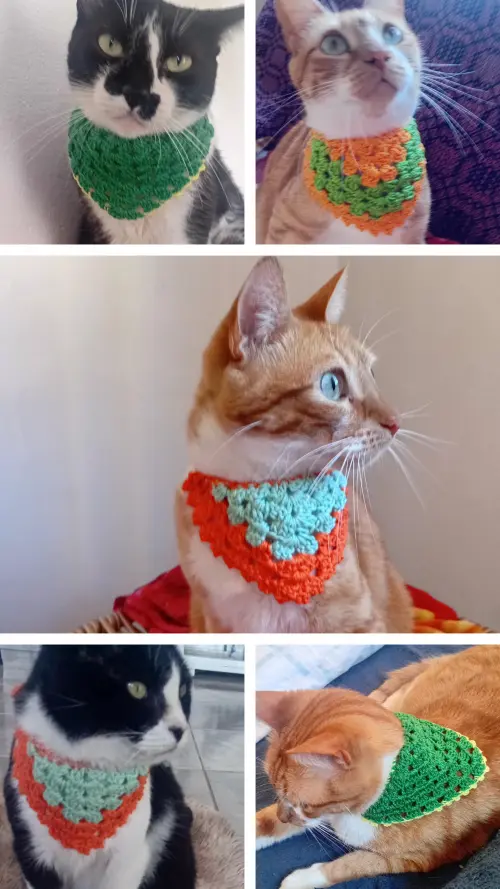 Bandana pet