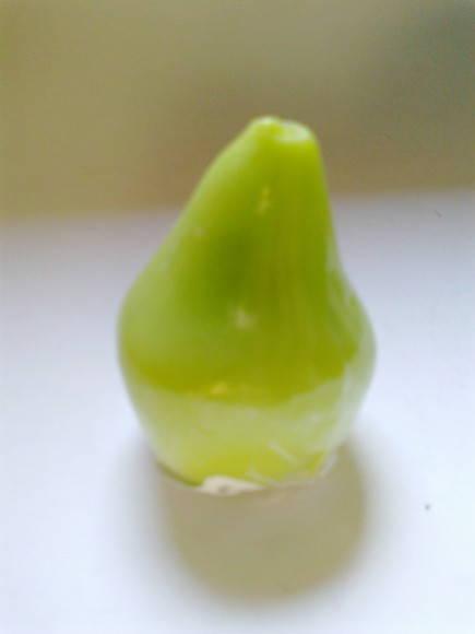 Caixote com Frutas de Sabonete