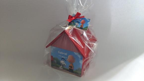 Casa Cofre Snoopy - Média