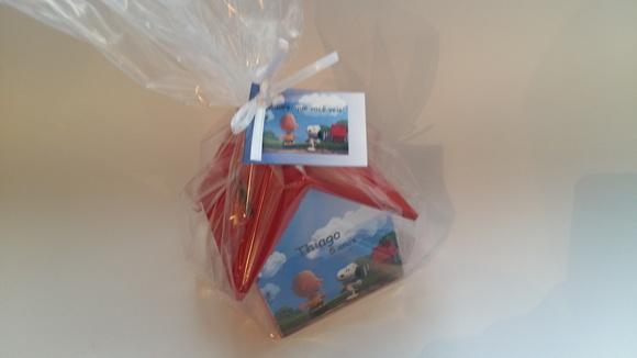 Casa Cofre Snoopy Ii - Promoção