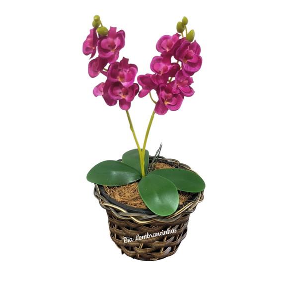 Vaso de Orquideas