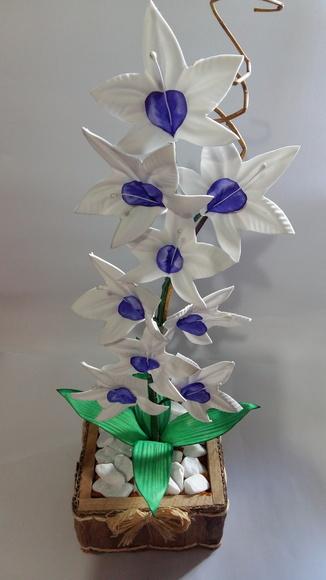 Vaso Orquídeas