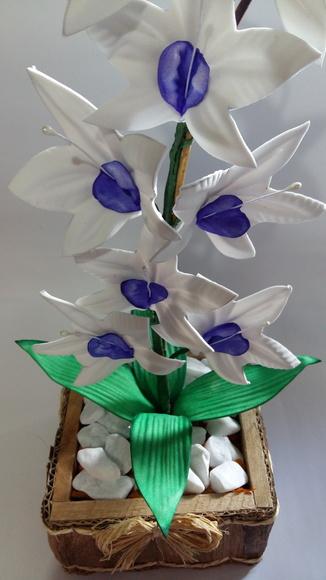 Vaso Orquídeas