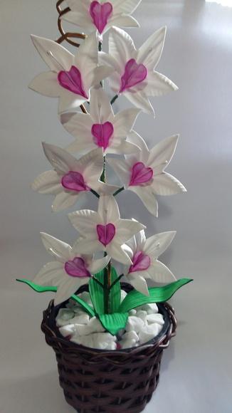 Vaso Orquídeas