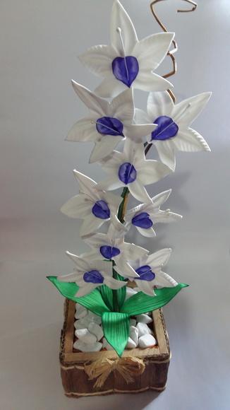 Vaso Orquídeas