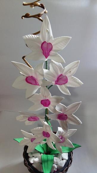 Vaso Orquídeas