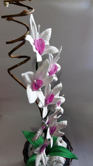 Vaso Orquídeas