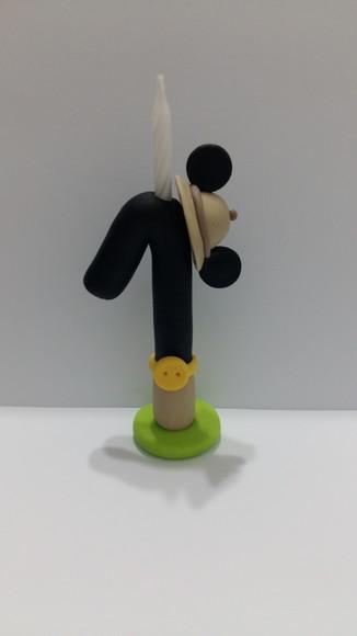 Vela Mickey Safari