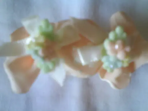 Bombom de Biscuit