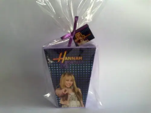 Cachepô Hannah Montana