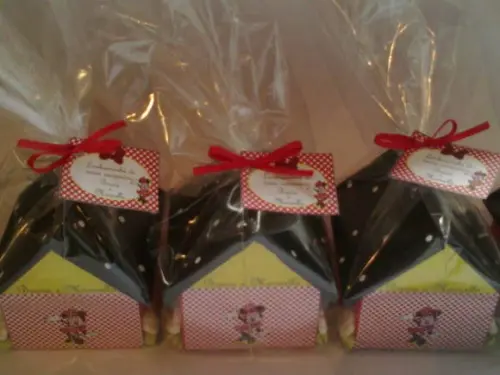 Casa Cofre da Minnie - Promoção
