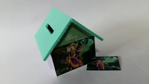 Casa Cofre Enrolados promoção