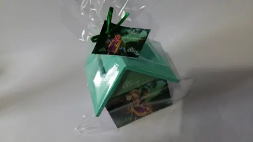 Casa Cofre Enrolados promoção