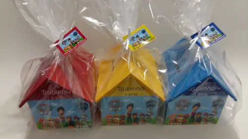 Casa Cofre Patrulha Canina G - Promoção