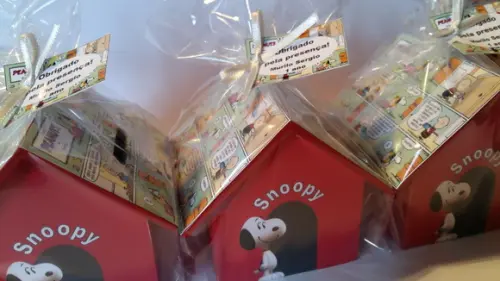 Casa Cofre Snoopy Esgotado