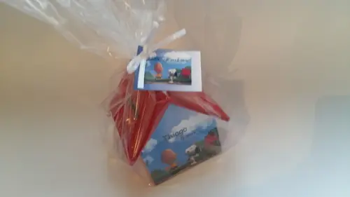 Casa Cofre Snoopy Ii - Promoção