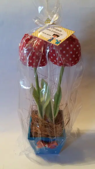Centro de Mesa Galinha Pintadinha - Esgotado