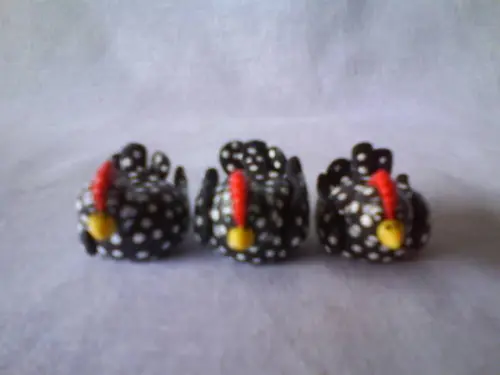 Galinha D'Angola com filhotes