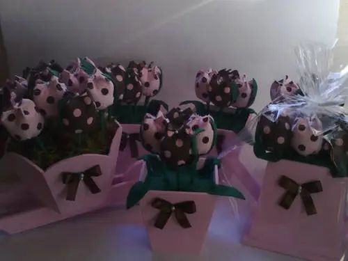 Kit Marrom e Rosa em MDF