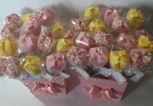 Lembrancinha Nascimento Lápis com Tulipa