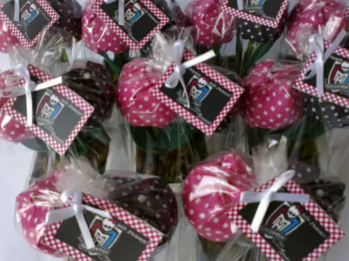 Lembrancinha Vasinho Monster High