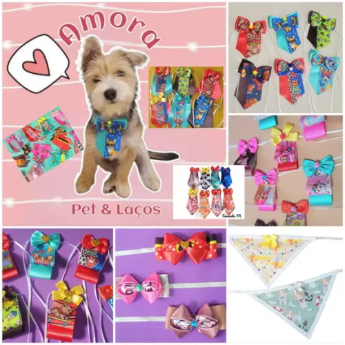 Novidade Linha Pet