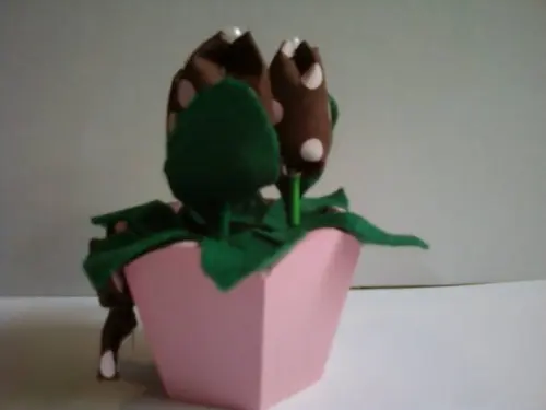 Vasinho de Tulipa