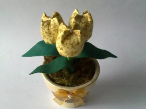 Vaso com Tulipas