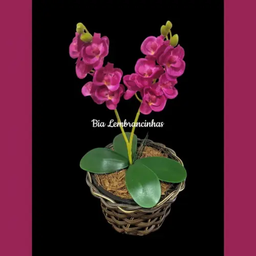 Vaso de Orquideas
