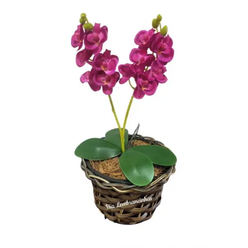 Vaso de Orquideas
