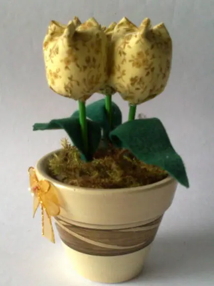 Vaso com Tulipas