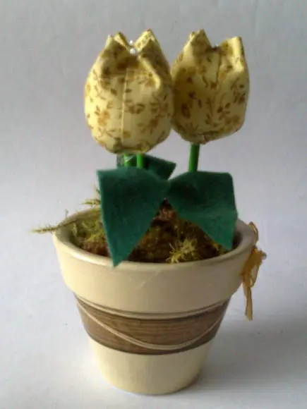 Vaso com Tulipas