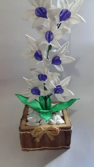 Vaso Orquídeas
