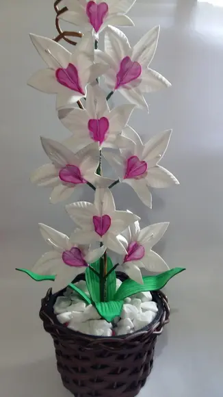 Vaso Orquídeas