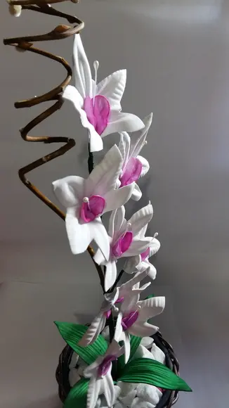 Vaso Orquídeas