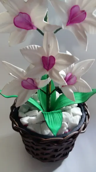 Vaso Orquídeas