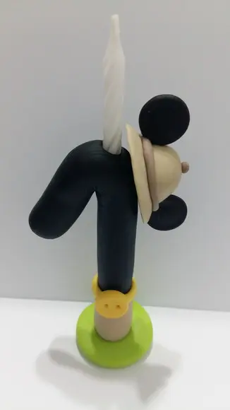 Vela Mickey Safari