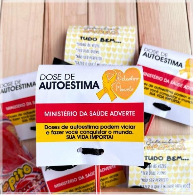 Arquivo Digital Car Pirulito Setembro Amarelo