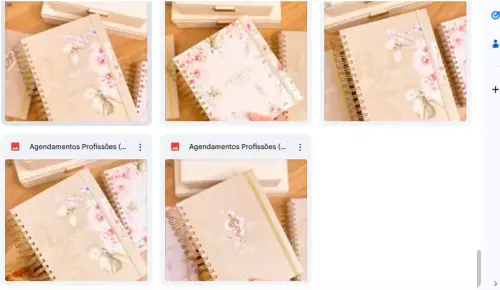 Arquivo Digital Agendamentos + Profissões 2026