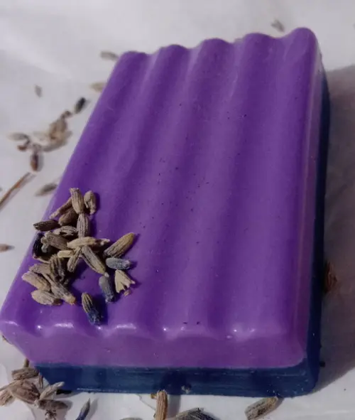 vegano lavanda e algamarinha