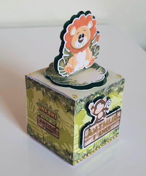 Caixa Cubo Safari